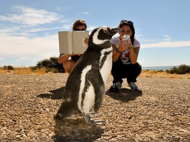 PUERTO MADRYN 
