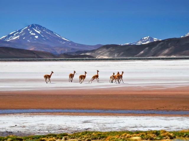 CATAMARCA & LA RIOJA