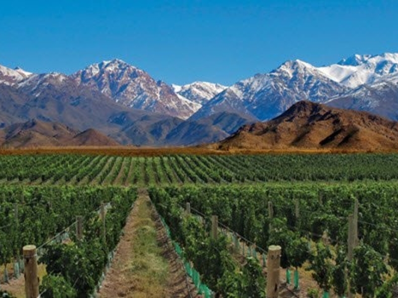 MENDOZA & VALLE DE UCO 