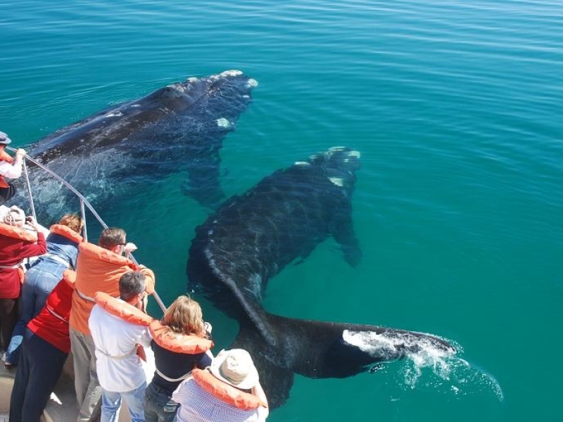 PUERTO MADRYN