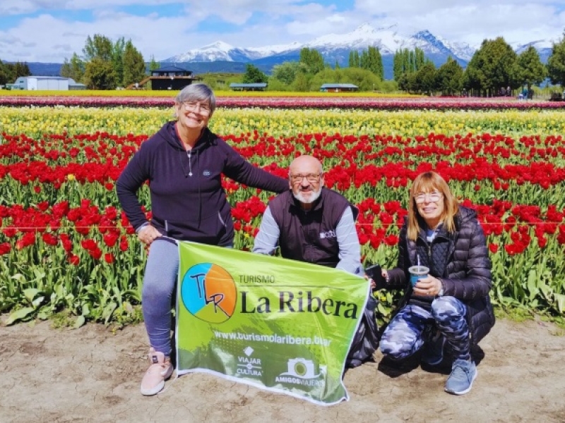 TULIPANES EN ESQUEL Y TREVELIN