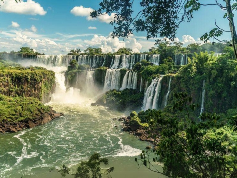 Bañados y Selva