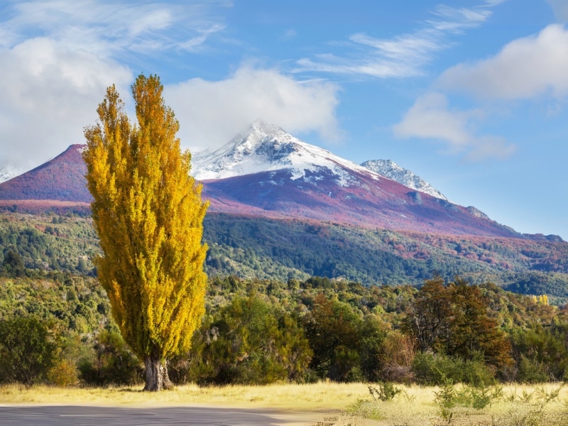 COLORES DE OTOÑO EN PATAGONIA  
