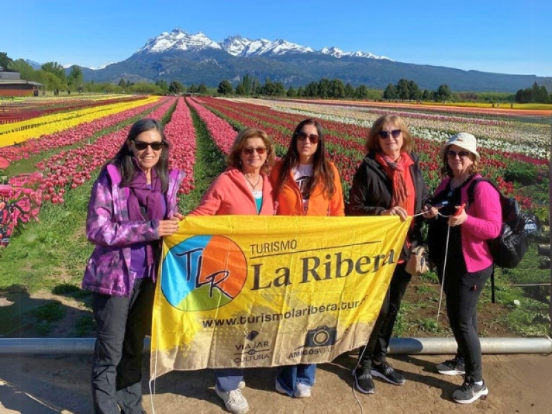 Lagos y tulipanes