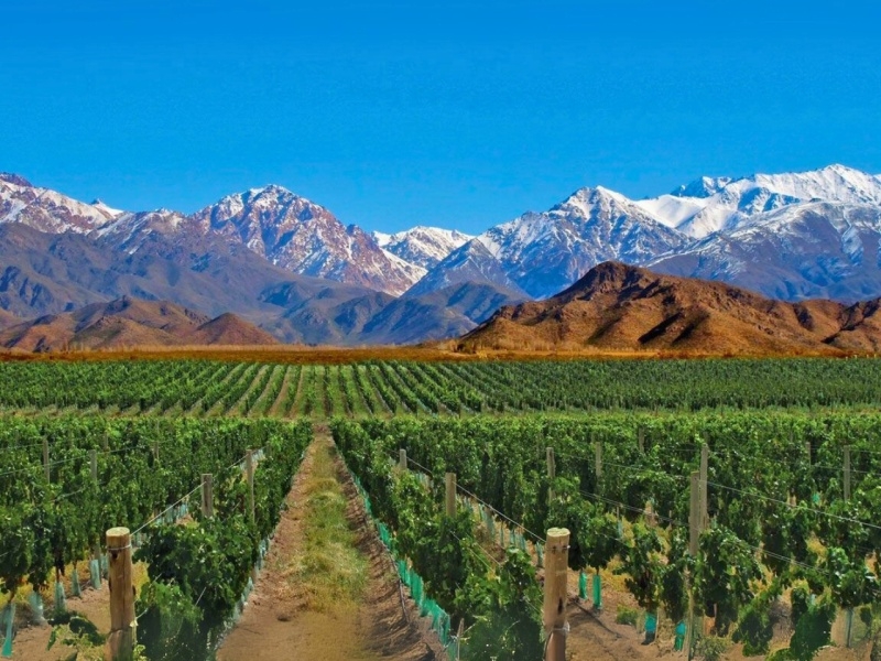 Mendoza + San Rafael 
