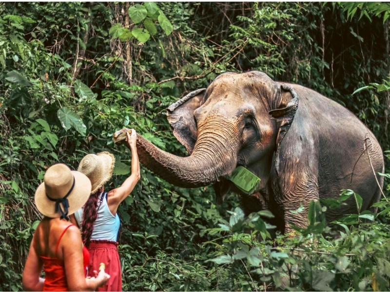 TAILANDIA 2026
