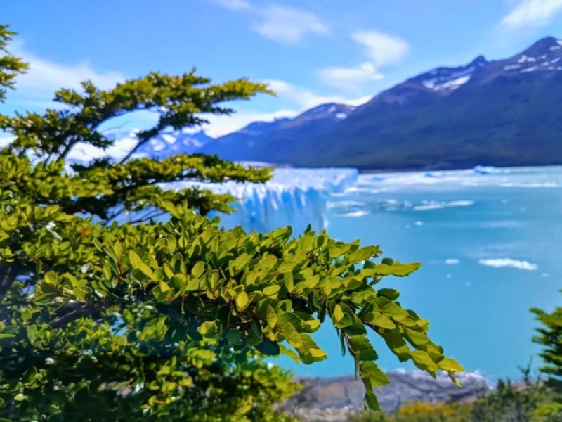 El Calafate 