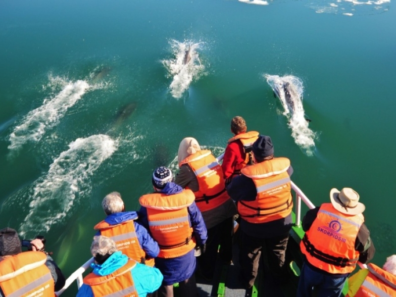 CRUCERO POR FIORDOS Y GLACIARES CHILENOS 