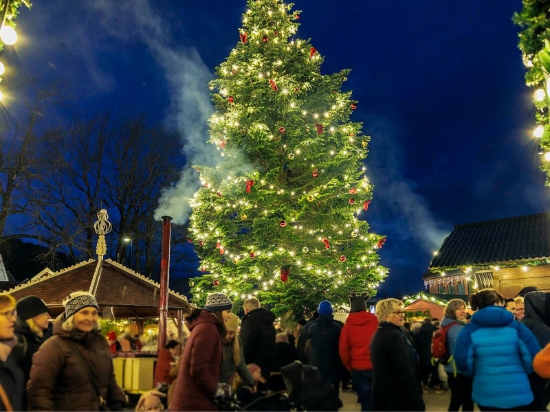 AURORA BOREAL + MERCADOS NAVIDEÑOS 