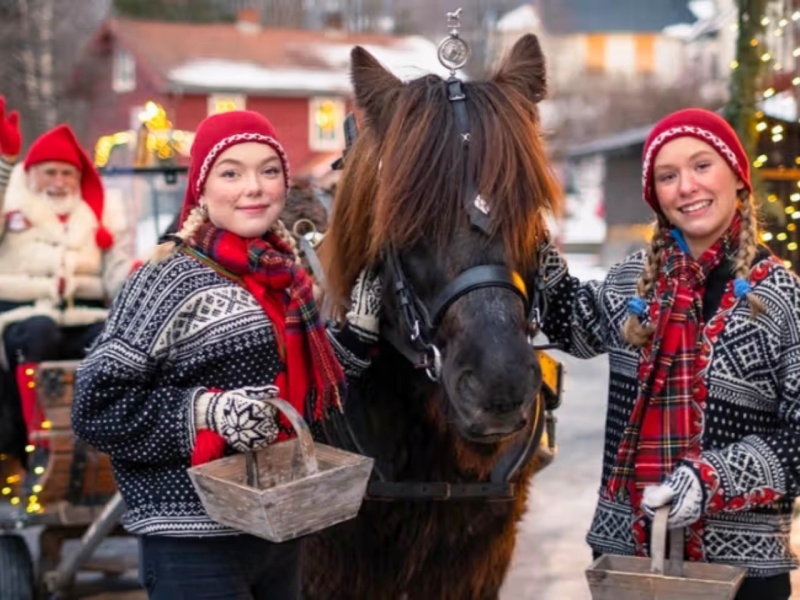 AURORA BOREAL + MERCADOS NAVIDEÑOS 