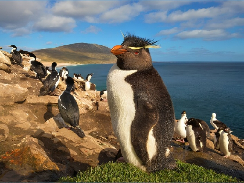 ANTARTIDA E ISLAS MALVINAS