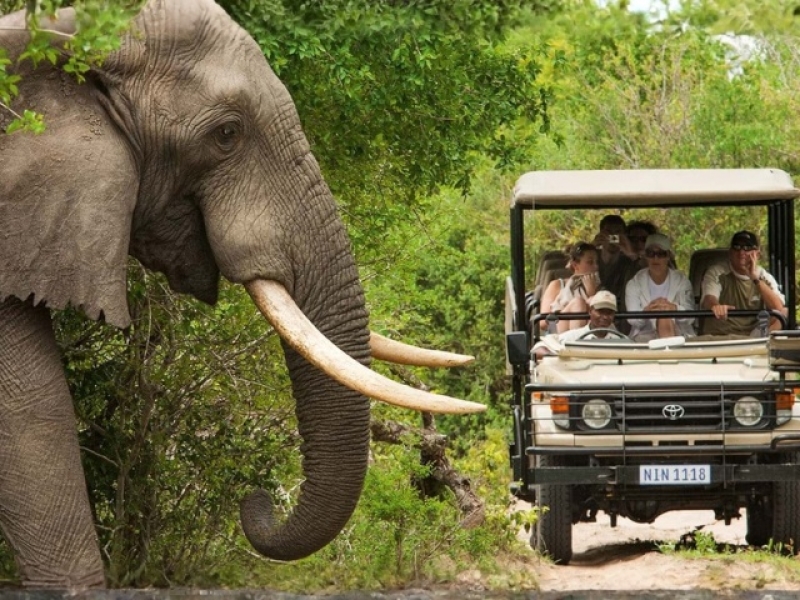 SUDAFRICA