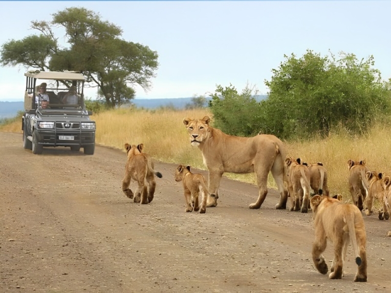 SUDAFRICA