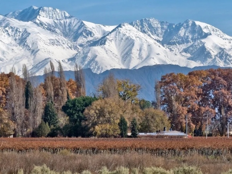 Mendoza + San Rafael 