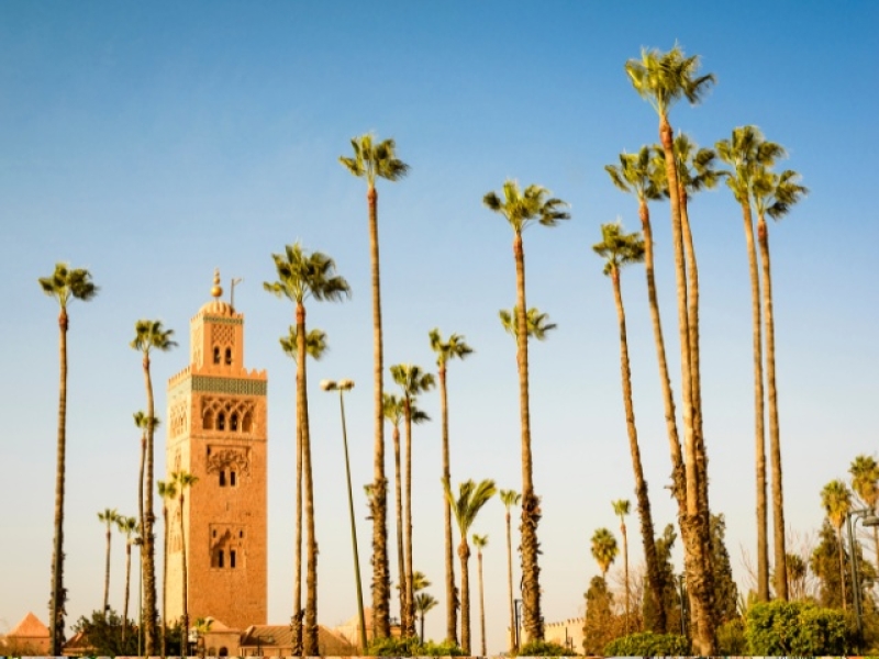 Andalucia y Marruecos 
