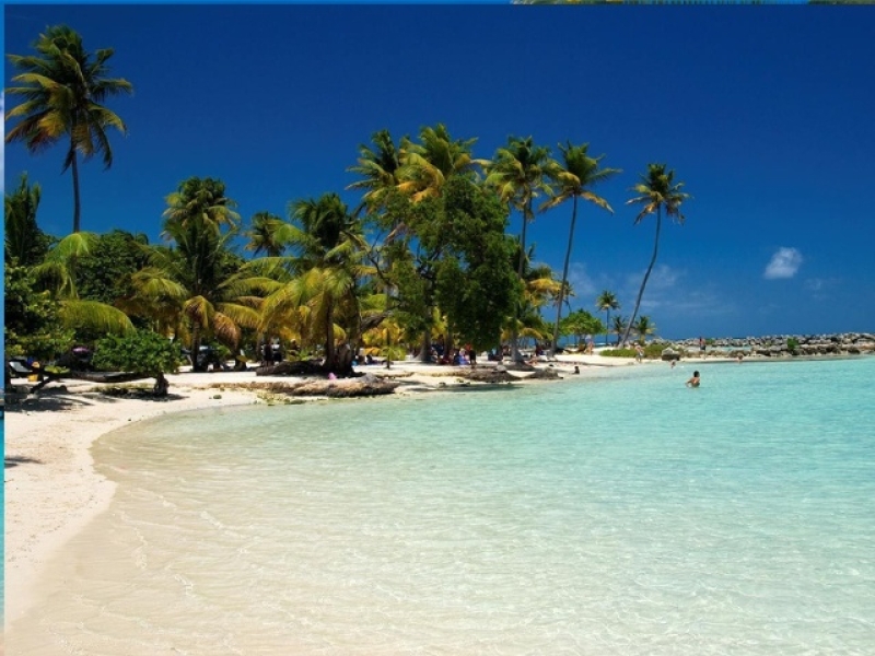 CRUCERO POR CARIBE con AEREO INCLUIDO 