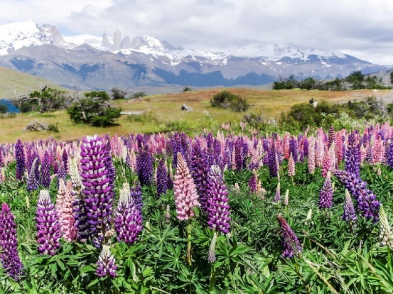 San Martin de los Andes con Bariloche