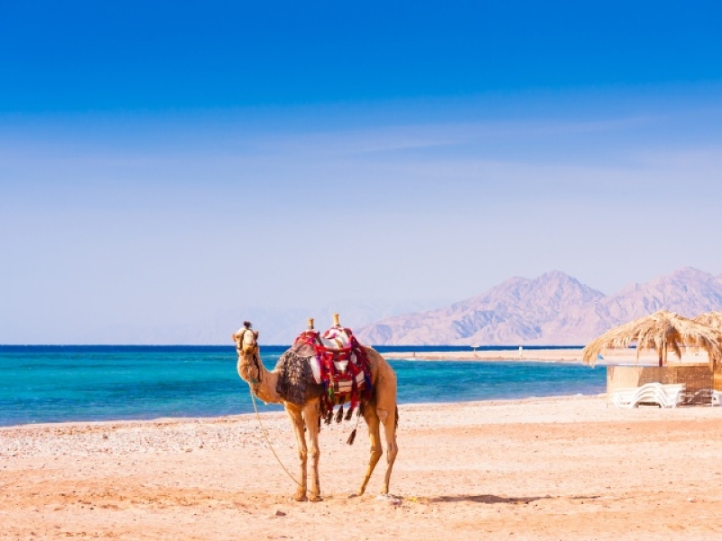 TESOROS DE EGIPTO Y DUBAI