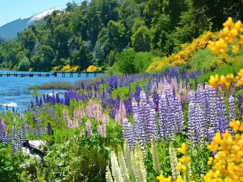 BARILOCHE
