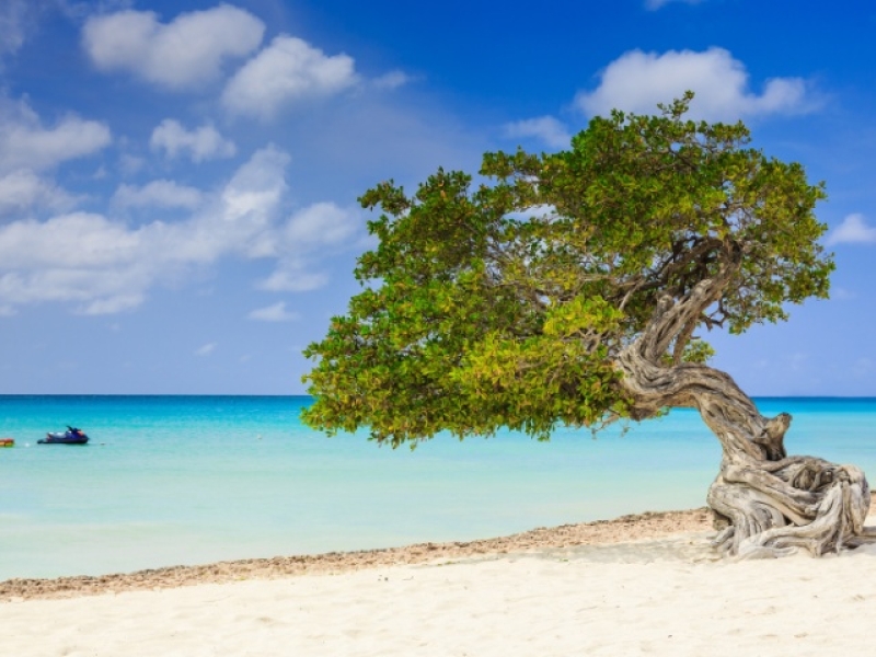 ARUBA