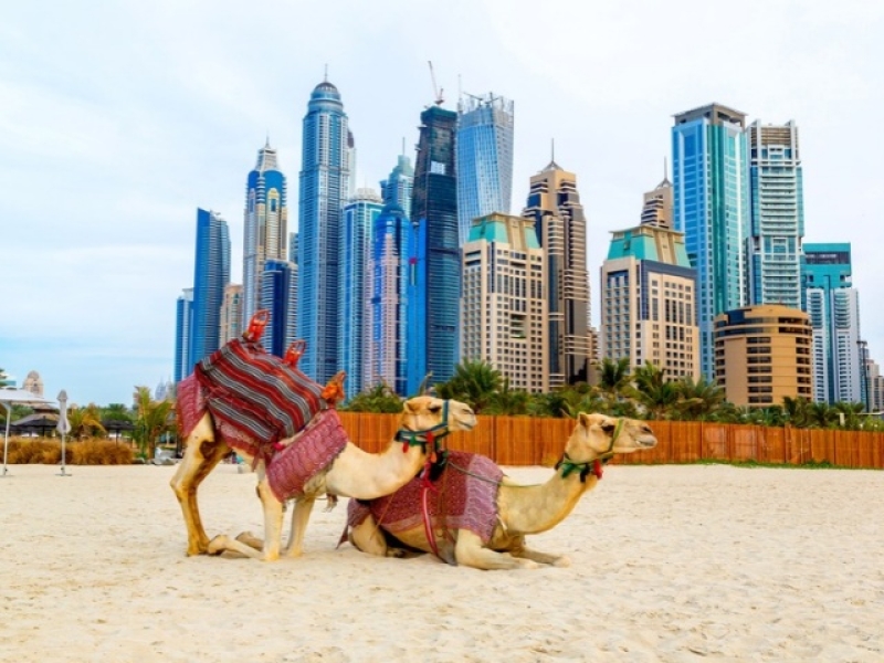 Dubai y Abu Dhabi