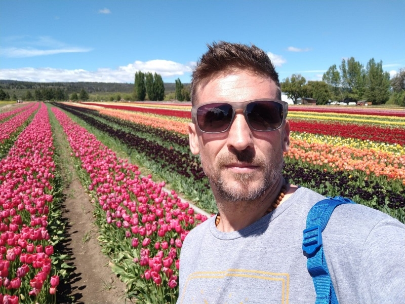 Temporada de Tulipanes en Esquel 